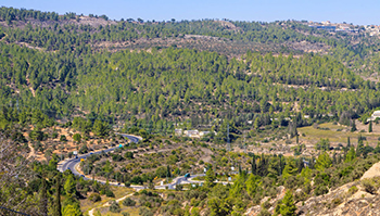 טיולי ארץ ישראל