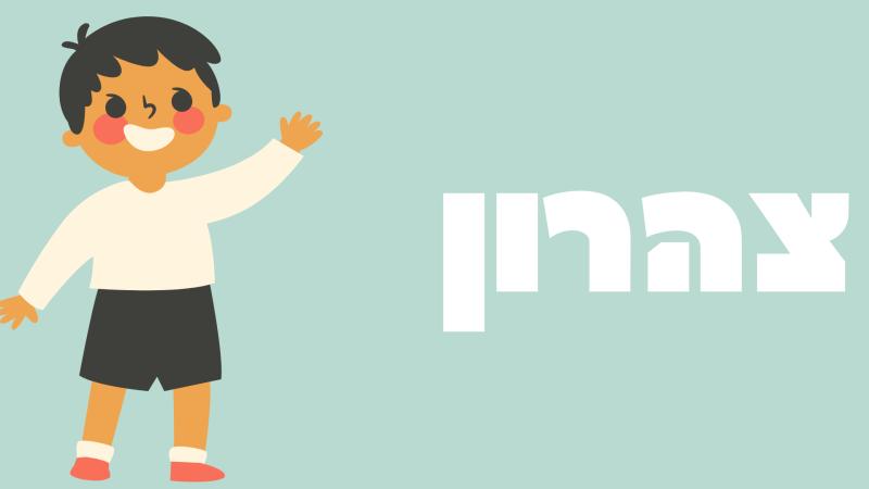 מתנס כפר ורדים